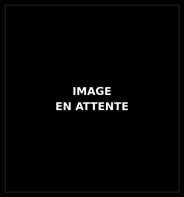 IMAGE_EN_ATTENTE_2.png